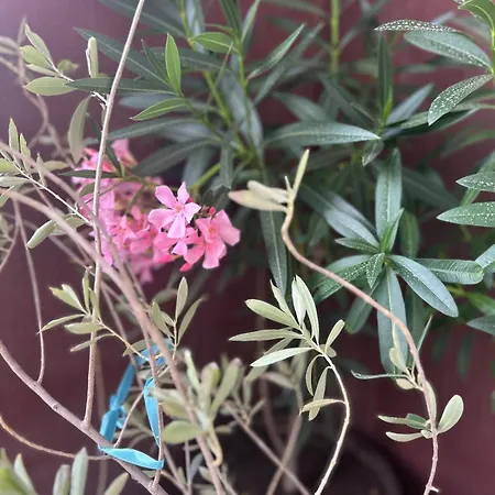 Art One Apartament *