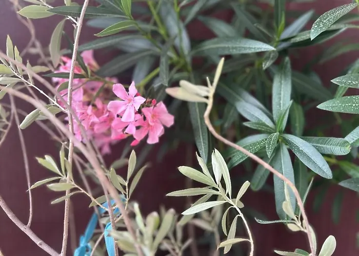 Art One Apartament *