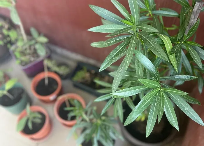 Art One Apartament Bucureşti