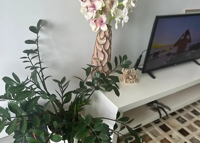 Apartament Art One Bucureşti