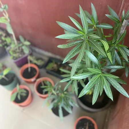 Art One Appartamento Bucarest