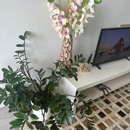 Daire Art One Bükreş